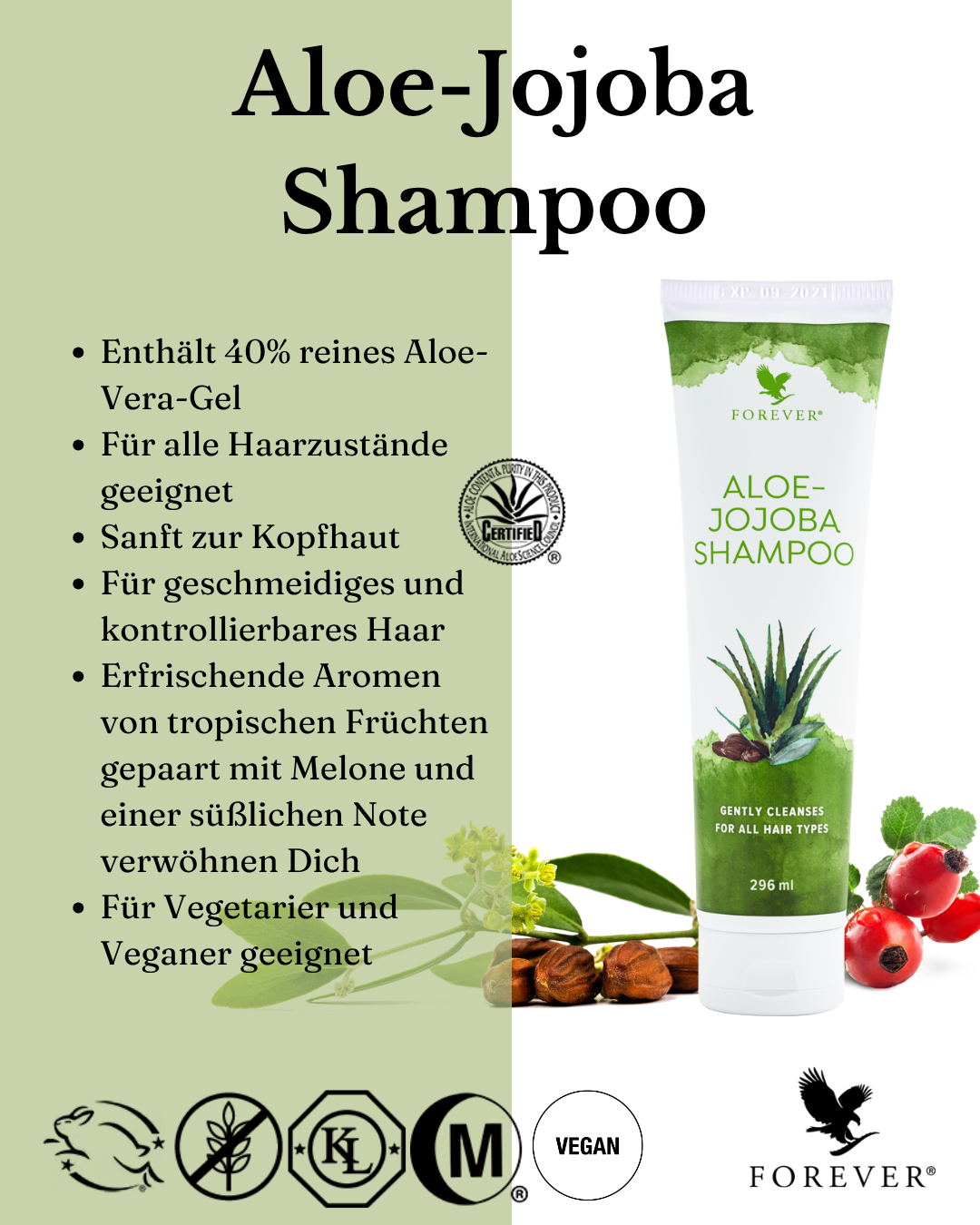 Aloe-Jojoba Shampoo